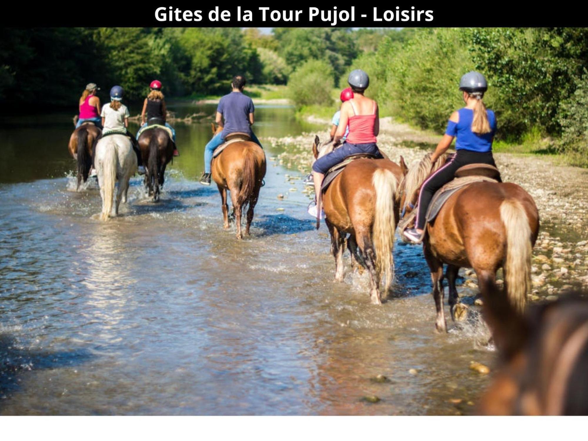 Les Gites De La Tour Pujol Argelès-sur-Mer Exterior foto