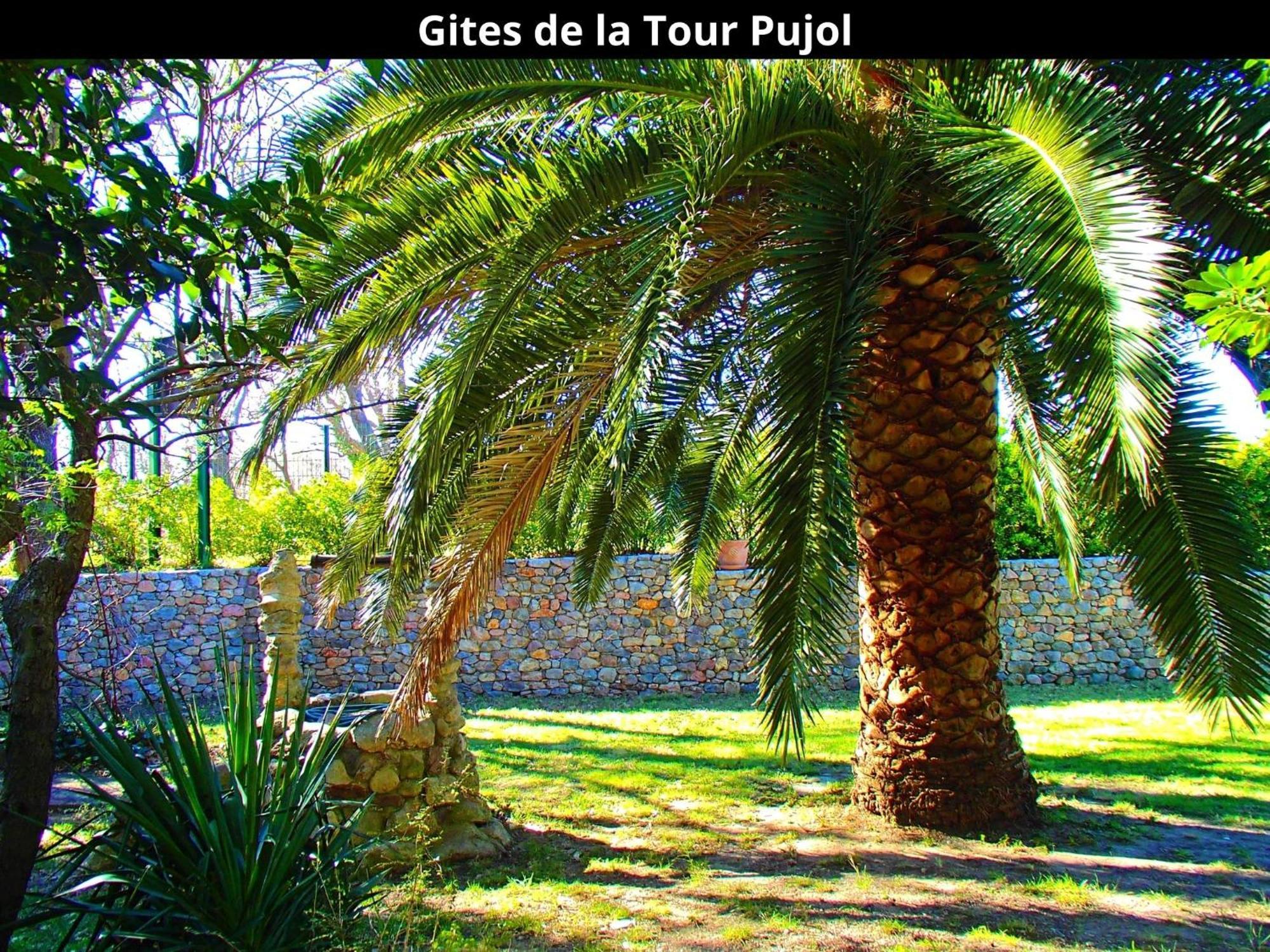 Les Gites De La Tour Pujol Argelès-sur-Mer Exterior foto